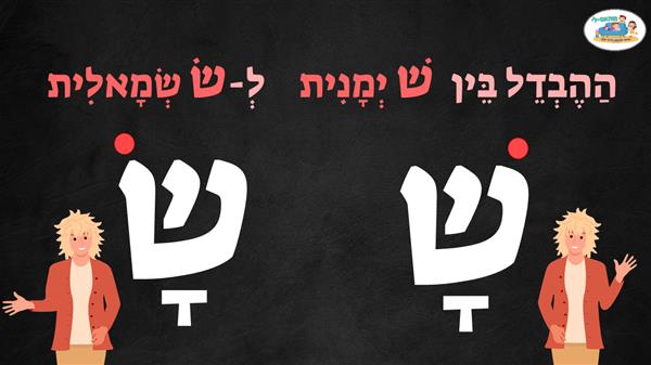 צירי - סגול | מותאם לי - מותאם לי