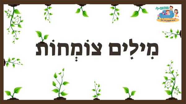 כתיבה נכונה - מילים צומחות